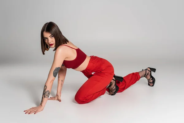 Молодая модель в красном наряде, татуированная брюнетка женщина с короткими волосами и пирсингом носа позирует в красном топе и брюках во время ползания на сером фоне, современный стиль, поколение z, модный тренд — стоковое фото
