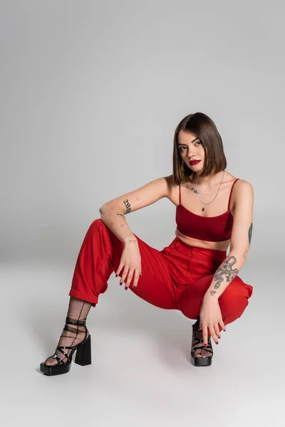 Полная длина молодой модели в красном наряде, татуированная женщина с короткими волосами и пирсингом носа позирует в красном топе и брюках, сидя на сером фоне, современный стиль, поколение z, модный тренд — стоковое фото
