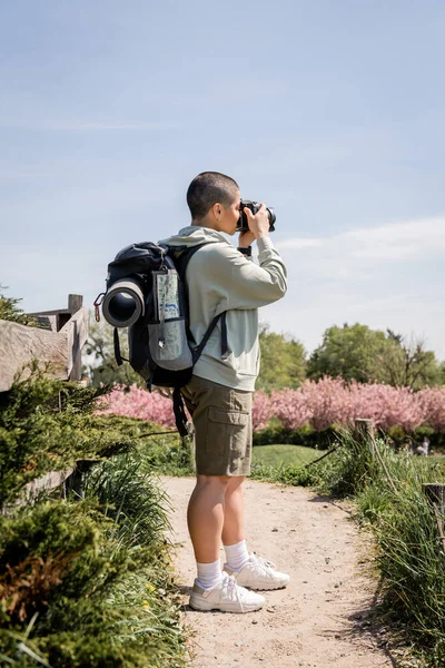 Side view of short haired and young female travel photographer taking photo on digital camera and standing on scenic nature at background, travel photographer, trekking through landscape, summer — Stock Photo
