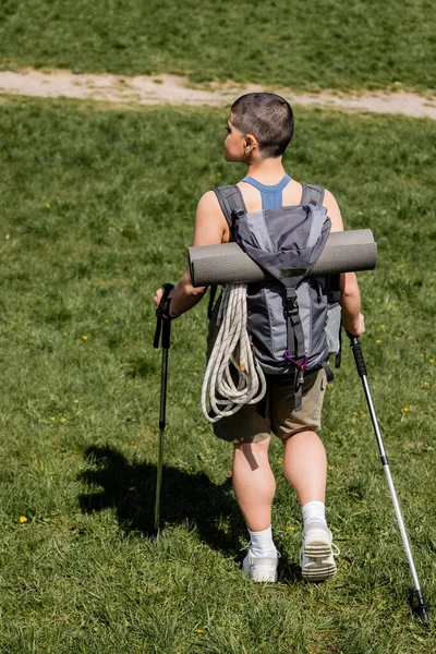Вид збоку на молоду короткошерсту жінку туристку з рюкзаком і туристичним обладнанням, що тримає полюси для піших прогулянок під час прогулянки на трав'янистих лугах на фоні, концепція сольного пішохідного подорожі, літо — стокове фото