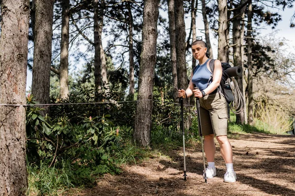 Joven excursionista femenina de pelo corto con mochila y equipo de viaje que sostiene postes de trekking y mira a la cámara mientras está de pie en el bosque de verano, senderismo para el concepto de salud y bienestar - foto de stock