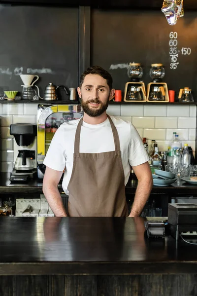 Улыбающийся бородатый бариста в фартуке смотрит в камеру, стоя и работая в кафе — стоковое фото