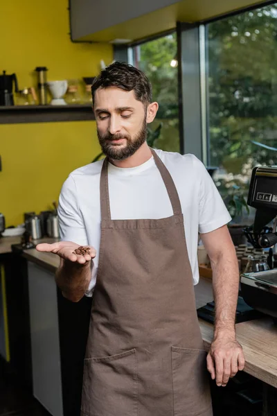 Barista barbudo em avental segurando grãos de café enquanto trabalhava em café borrado no fundo — Fotografia de Stock