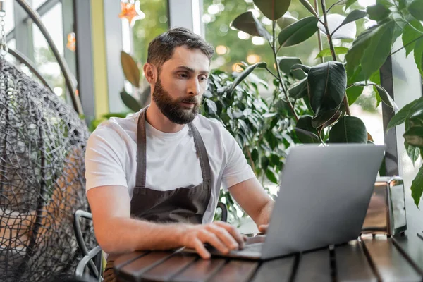 Barista en delantal usando el ordenador portátil mientras está sentado cerca de las plantas y trabajando en la cafetería - foto de stock