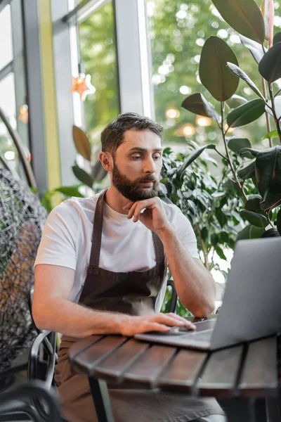 Barista enfocado en delantal usando el ordenador portátil mientras está sentado y trabajando cerca de las plantas en la cafetería - foto de stock