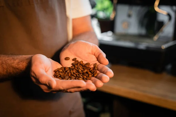 Vista recortada de barista en delantal sosteniendo granos de café mientras trabajaba en una cafetería borrosa - foto de stock
