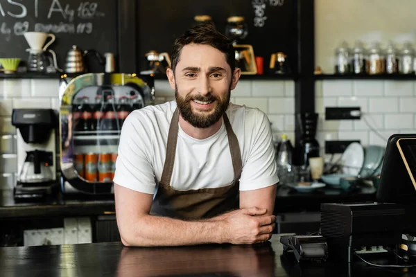 Cheerful bearded barista looking at camera while standing near bar in coffee shop — Stock Photo