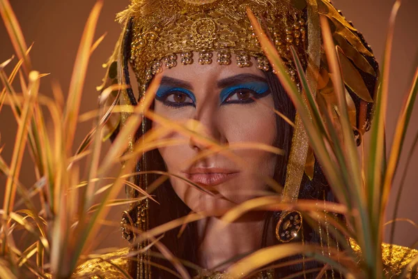 Femme élégante en coiffe égyptienne et maquillage audacieux posant derrière des plantes du désert isolées sur brun — Photo de stock