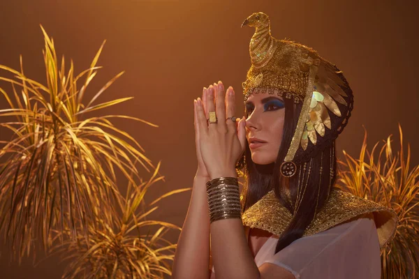 Brünette Frau im ägyptischen Look macht Geste betender Hände in der Nähe von Wüstenpflanzen isoliert auf braun — Stockfoto