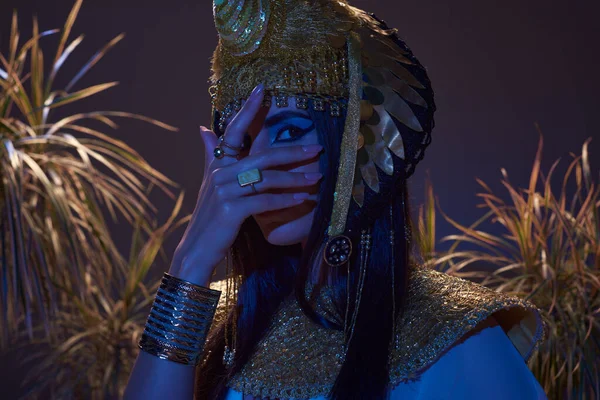 Mulher em egípcio olhar cobrindo rosto enquanto posando perto de plantas em luz azul sobre fundo marrom — Fotografia de Stock