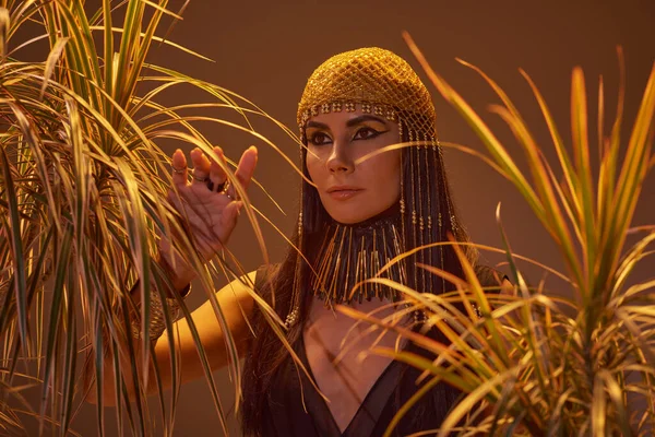 Mulher elegante em egípcio olhar de pé perto de plantas do deserto e posando isolado em marrom — Fotografia de Stock