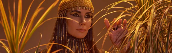 Стильная женщина в египетском головном уборе и ожерелье касаются пустынных растений, изолированных на коричневом, баннер — стоковое фото