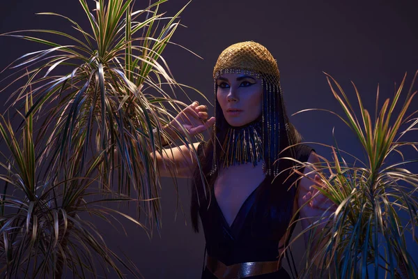 Elegante donna in look egiziano e copricapo vicino a piante del deserto su sfondo marrone con luce blu — Foto stock