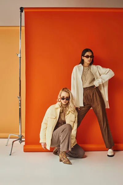 Herbstmode und Trends, gemischtrassige Frauen in Sonnenbrille und Oberbekleidung posieren im Studio, Herbstfarben — Stockfoto