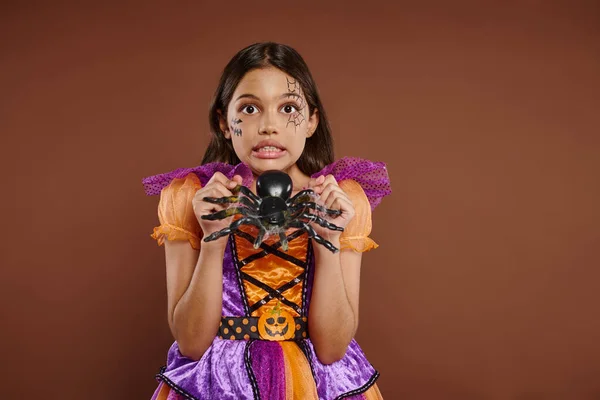 Menina assustador no traje de Halloween segurando aranha falsa e sorrir no fundo marrom, 31 de outubro — Fotografia de Stock