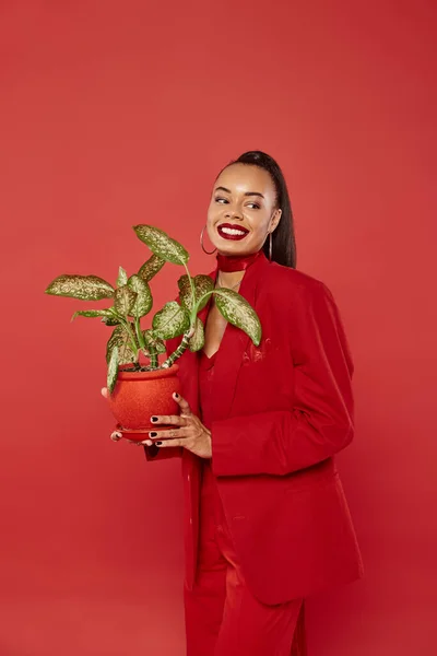 Feliz joven afroamericana mujer en traje rojo chaqueta y pantalones de pie con maceta planta verde - foto de stock