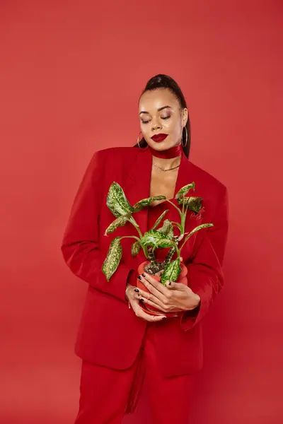 Brünette junge afrikanisch-amerikanische Frau in roter Anzugjacke und Hose, stehend mit Topfpflanze — Stockfoto