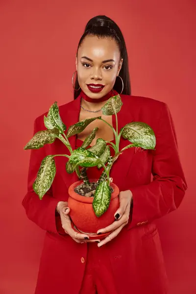 Positive young african american woman in red suit jacket and pants standing with potted green plant — Stock Photo