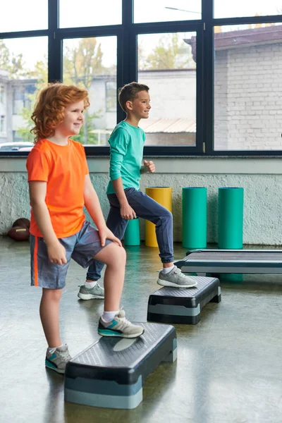 Vertical shot of cute little boys in sportswear exercising on fitness steppers in gym, child sport — Stock Photo