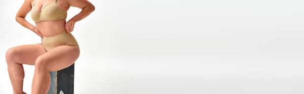 Vista ritagliata del modello plus size in lingerie beige seduta su scatola di legno su banner bianco, orizzontale — Foto stock