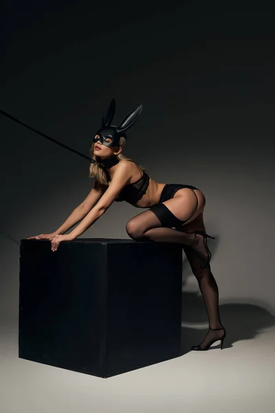 Seducente donna femminile calda con capelli biondi e maschera di coniglio in posa al guinzaglio in lingerie sexy sul cubo — Foto stock
