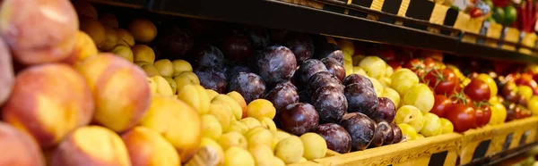 Foto de colorido puesto de frutas con melocotones, ciruelas y melones en la tienda de comestibles, foto del objeto, bandera - foto de stock