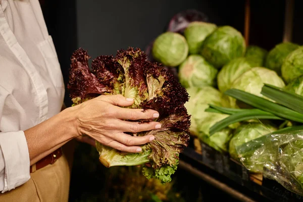 Cropped view of mature woman in casual attire holding red lettuce in hands while at grocery store — Stock Photo