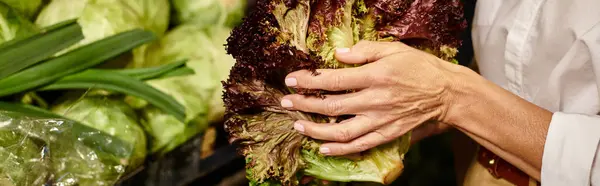 Abgeschnittene Ansicht der reifen fröhlichen Frau mit rotem Salat in den Händen, während im Lebensmittelgeschäft, Banner — Stockfoto