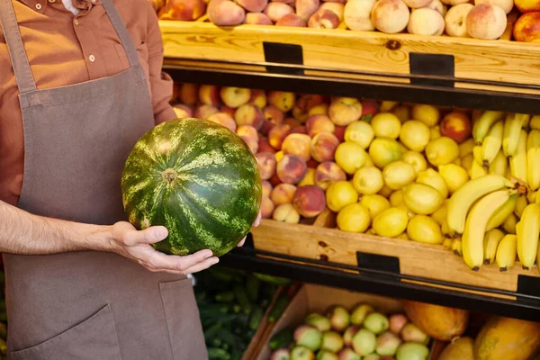 Abgeschnittene Ansicht von reifen Verkäufer hält frische saftige Wassermelone mit Lebensmittelstand auf dem Hintergrund — Stockfoto