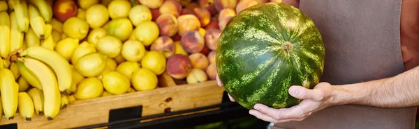 Abgeschnittene Ansicht eines reifen Verkäufers mit frischer Wassermelone und Obststand im Hintergrund, Banner — Stockfoto