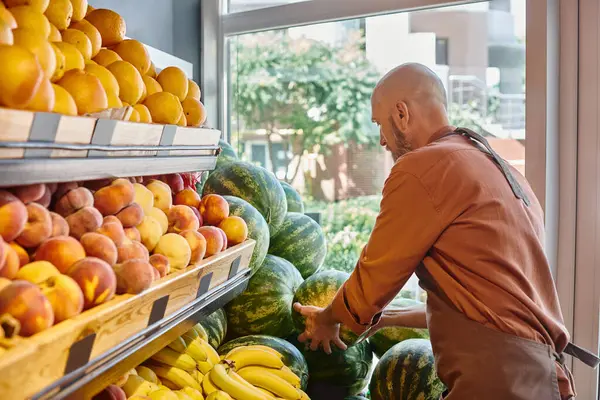 Vendedor maduro barbudo colocando melancias frescas no balcão ao lado de outras frutas no supermercado — Fotografia de Stock