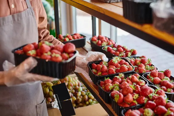 Vista recortada del envase del vendedor maduro fresas vibrantes frescas en la tienda de comestibles, mercado de agricultores - foto de stock