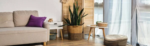 Spazioso soggiorno con mobili moderni, grandi finestre e piante verdi in vaso, banner orizzontale — Foto stock