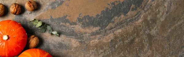 Tema otoñal de acción de gracias, vista superior de calabazas anaranjadas maduras cerca de nueces en superficie de piedra texturizada - foto de stock