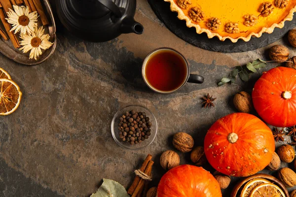 Thanksgiving still life with ripe gourds, hot tea and delicious pumpkin pie on stone tabletop — Stock Photo