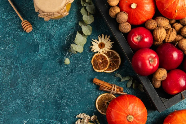 Thanksgiving backdrop, autumnal harvest in tray near honey and aromatic herbs on blue rustic surface — Stock Photo