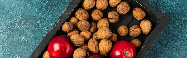 Manzanas maduras y nueces enteras en bandeja de madera negra sobre superficie de textura azul, acción de gracias, pancarta - foto de stock