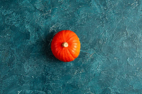 Fundo de ação de graças, uma abóbora laranja brilhante no fundo texturizado azul, perspectiva de cima para baixo — Fotografia de Stock