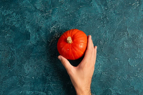 Vista recortada de la mano masculina cerca de calabaza naranja brillante en la superficie de textura azul, concepto de acción de gracias - foto de stock