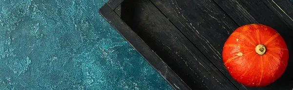 Conceito de ação de graças, abóbora laranja colorida em bandeja de madeira preta na superfície texturizada azul — Fotografia de Stock