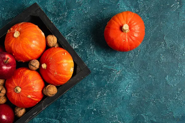 Black tray with orange pumpkins and red apples with walnuts on blue textured surface, thanksgiving — Stock Photo