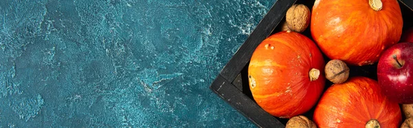 Citrouilles et noix orange dans un plateau noir sur une surface texturée bleue, fond d'Action de grâces, bannière — Photo de stock