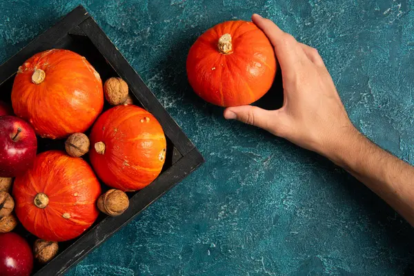 Thanksgiving backdrop, cropped view of man holding ripe pumpkin near tray with autumnal harvest — Stock Photo