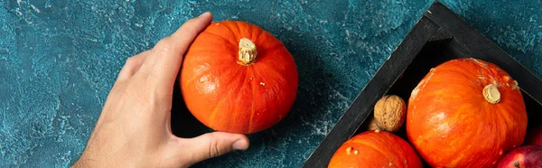 Erntedank-Thema, beschnittene Ansicht eines Mannes mit reifem Kürbis in der Nähe von Tablett mit herbstlicher Ernte, Banner — Stockfoto