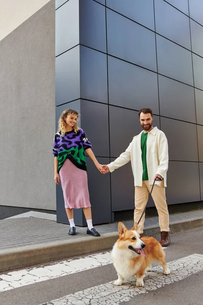 Joyful couple holding hands and walking with corgi dog near modern grey building, animal companions — Stock Photo