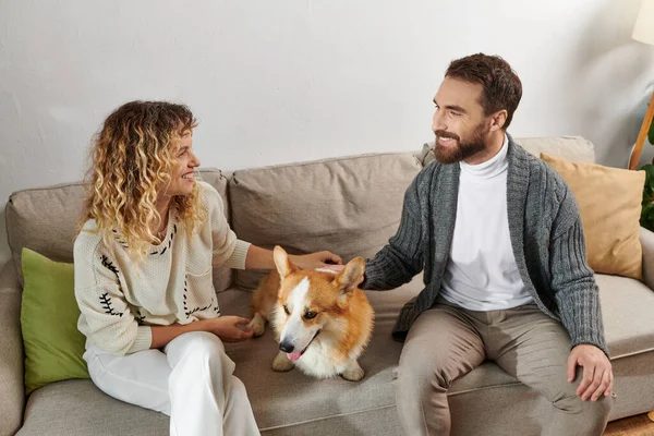 Happy couple in casual winter outfits sitting on couch and cuddling corgi dog in modern apartment — Stock Photo