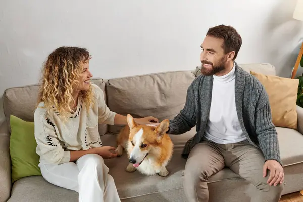 Happy couple in casual winter outfits sitting on couch and cuddling corgi dog in modern apartment — Stock Photo