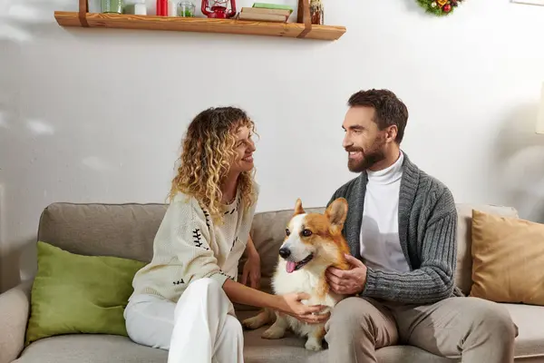 Happy couple in casual winter outfits sitting on couch and cuddling corgi dog in modern apartment — Stock Photo