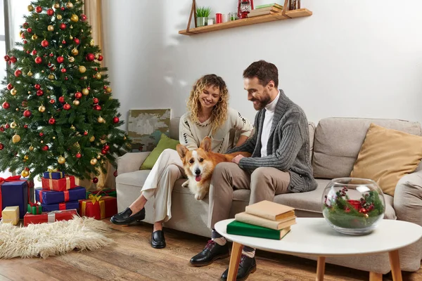 Cheerful couple sitting on couch and cuddling corgi dog near decorated Christmas tree and presents — Stock Photo
