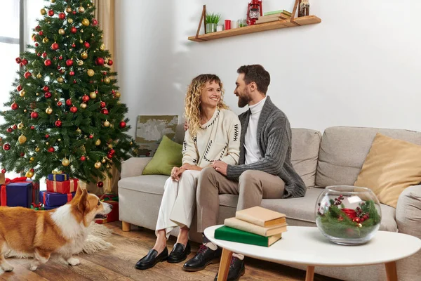 Coppia allegra seduta sul divano, coccole cane corgi vicino decorato albero di Natale con regali — Foto stock
